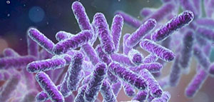 ما هو ميكروب الدم و ما هي طرق دخول الميكروبات إلى الدم صورة: ما هو ميكروب الدم و ما هي طرق دخول الميكروبات إلى الدم