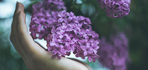 الجمال و الجمال الداخلي و الجمال الخارجي صورة: الجمال و الجمال الداخلي و الجمال الخارجي