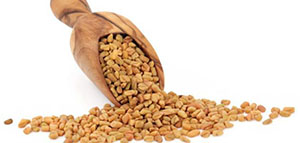 الحلبة لزيادة الوزن و فوائد أخرى للحلبة صورة: الحلبة لزيادة الوزن و فوائد أخرى للحلبة