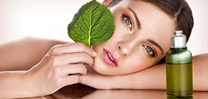 النعناع و فوائد النعناع للبشرة و أبرز خلطات النعنع المفيدة للبشرة صورة: النعناع و فوائد النعناع للبشرة و أبرز خلطات النعنع المفيدة للبشرة