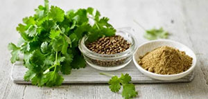 صورة: فوائد الكزبرة للبشرة و فوائد الكزبرة للبشرة