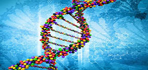 حمض ال DNA و مكونات ال DNA و تحليل ال DNA صورة: حمض ال DNA و مكونات ال DNA و تحليل ال DNA