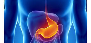 قرحة المعدة و أعراض قرحة المعدة و أسباب قرحة المعدة صورة: قرحة المعدة و أعراض قرحة المعدة و أسباب قرحة المعدة