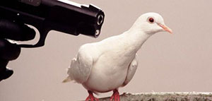 متلازمة ستوكهولم صورة: متلازمة ستوكهولم