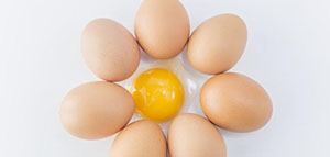 ماسك صفار البيض لترطيب الشعر و ماسك صفار البيض للحد من تساقط الشعر صورة: ماسك صفار البيض لترطيب الشعر و ماسك صفار البيض للحد من تساقط الشعر