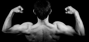 أهمية الجهاز العضلي و نصائح لصحة الجهاز العضلي صورة: أهمية الجهاز العضلي و نصائح لصحة الجهاز العضلي