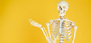 نظرة عامة حول الجهاز الهيكلي و أجزاء الجهاز الهيكلي صورة: نظرة عامة حول الجهاز الهيكلي و أجزاء الجهاز الهيكلي