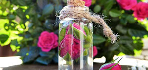 فوائد ماء الورد للوجه و فوائد النشا للبشرة صورة: فوائد ماء الورد للوجه و فوائد النشا للبشرة