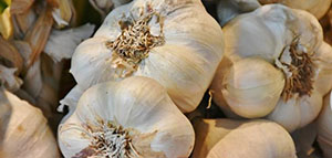 الثوم و طريقة تناول الثوم كعلاج صورة: الثوم و طريقة تناول الثوم كعلاج