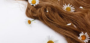 معدل نمو الشعر الطبيعي و مراحل نمو الشعر صورة: معدل نمو الشعر الطبيعي و مراحل نمو الشعر