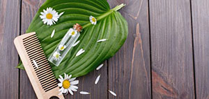 فوائد بذور الكتان للشعر و فوائد جل بذور الكتان للشعر وميزاته صورة: فوائد بذور الكتان للشعر و فوائد جل بذور الكتان للشعر وميزاته