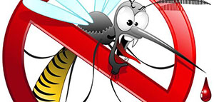 صورة: الملاريا و الوقاية من مرض الملاريا و أعراض الإصابة بمرض الملاريا