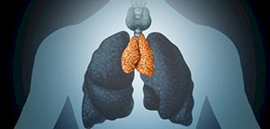 صورة: ما هي الغدة الصعترية و أهمية الغدة الصعترية