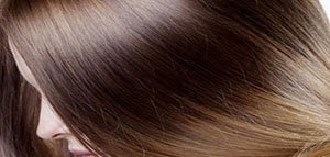 صورة: السدر و فوائد السدر للشعر و طريقة استخدام السدر للشعر