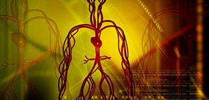 صورة: هبوط الدورة الدموية و أسباب هبوط الدورة الدموية