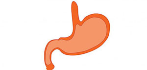 صورة: فوائد عملية قص المعدة و مضاعفات عملية قص المعدة