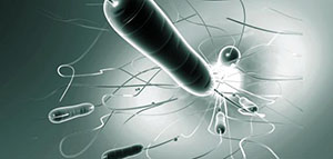 صورة: مرض الكوليرا و الوقاية من مرض الكوليرا