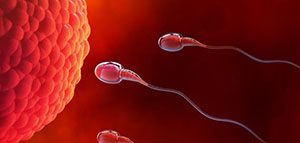 صورة: الحمل و كيفية حدوث الحمل و مراحل الحمل