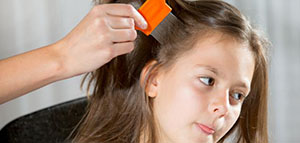 صورة: طرق للقضاء على القمل والصيبان بالأعشاب