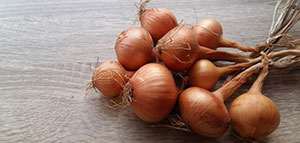 صورة: كيفية تجفيف البصل و تعريف البصل وأنواعه