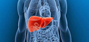 صورة: أعراض ارتفاع إنزيمات الكبد و دواعي مراجعة الطبيب